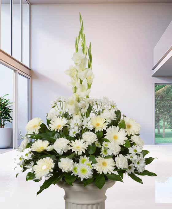 Centro Funerario Clavel Margaritas Blancas